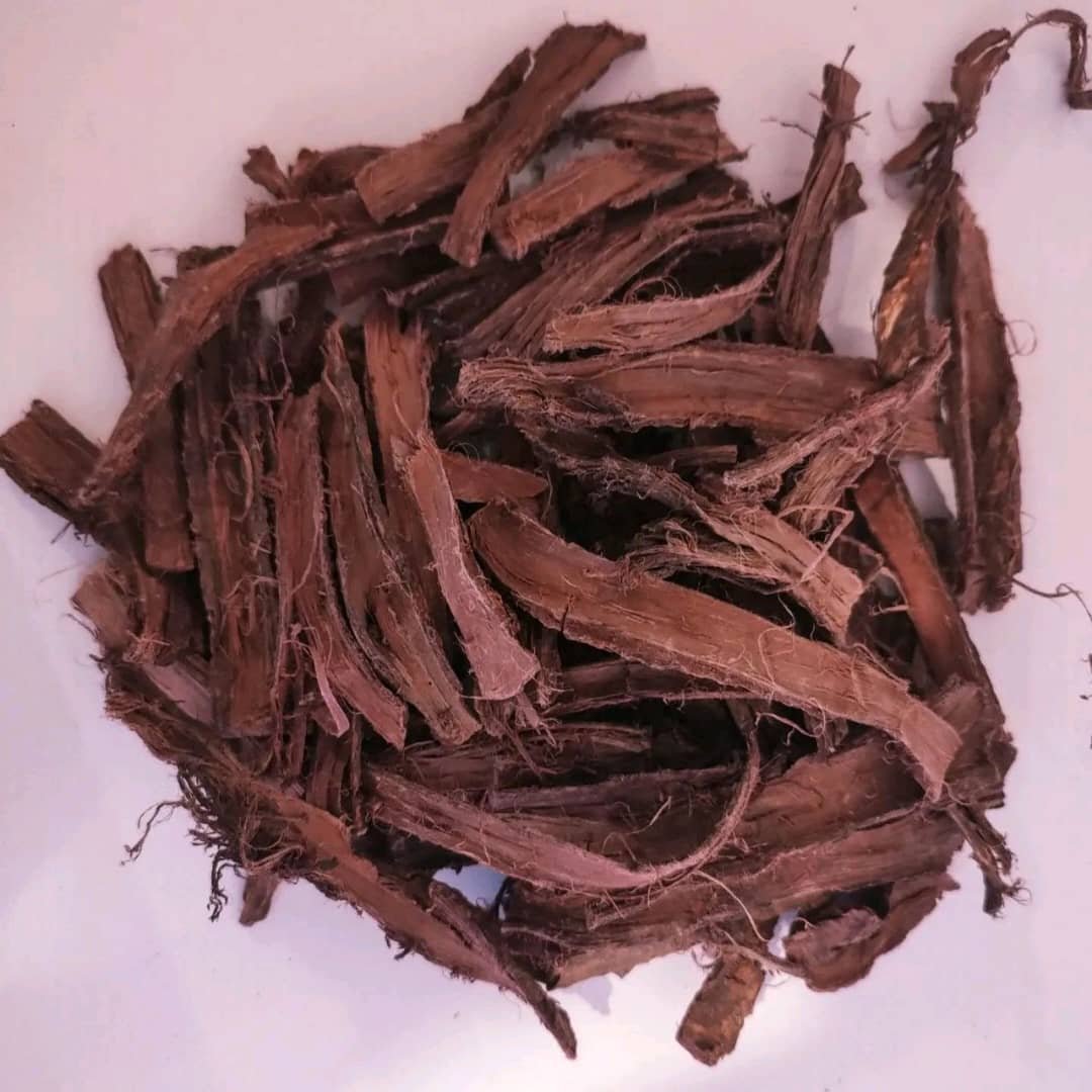 Mimosa Hostilis Inner Root Bark (MHRB)